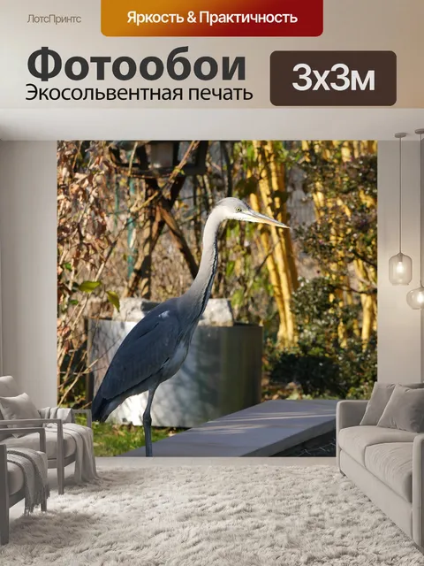 Фотообои Цапля