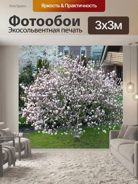 Фотообои Цветущие тюльпаны дерева