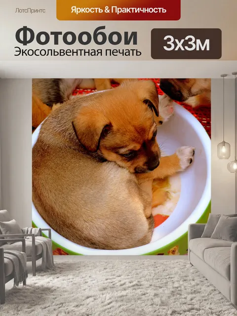 Фотообои Puppy Bowl