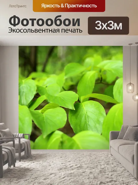 Фотообои Слой листьев