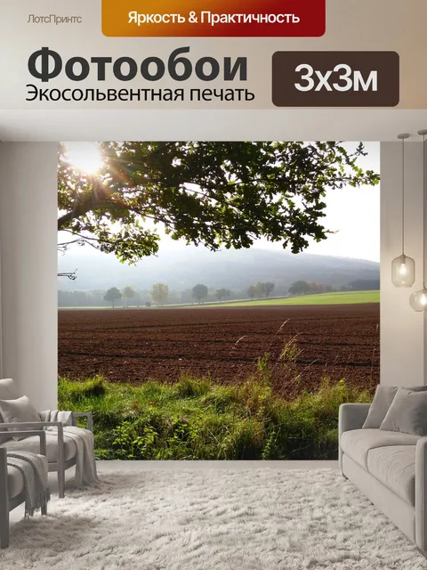 Фотообои Деревья