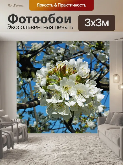 Фотообои Вишня