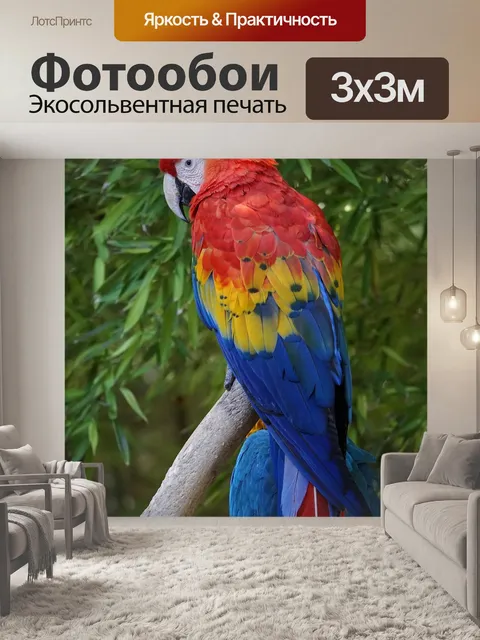 Фотообои Попугаи
