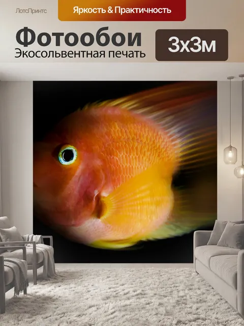 Фотообои Рыбы