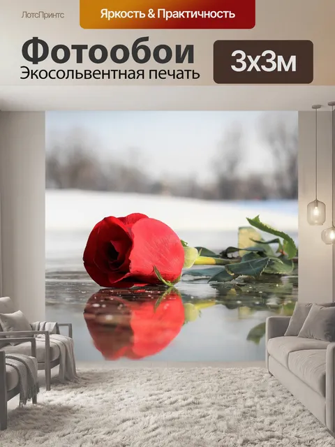 Фотообои Красная роза на льду