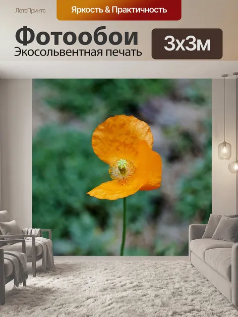 Фотообои Цветок