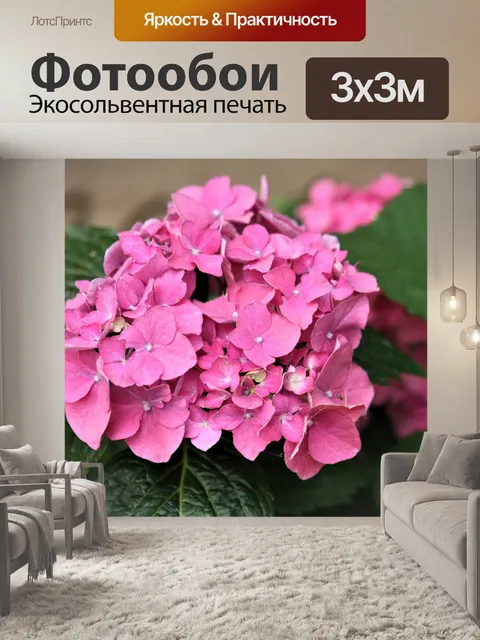 Фотообои Розовый гортензия Блум