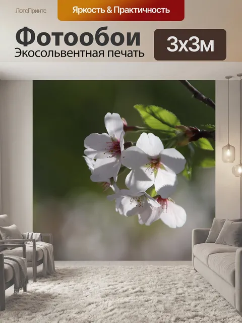Фотообои Цветы
