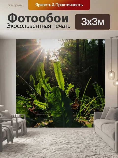 Фотообои Одуванчик