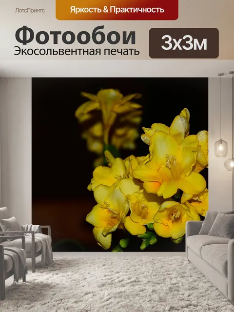 Фотообои Фрезия