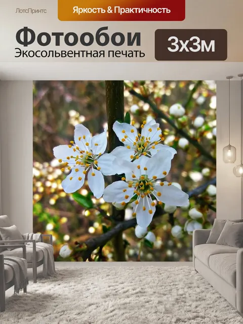 Фотообои Цветущие деревья 1