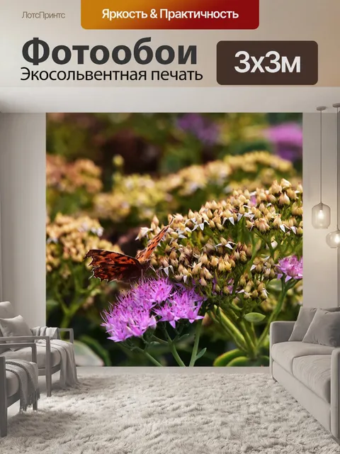 Фотообои Бабочка