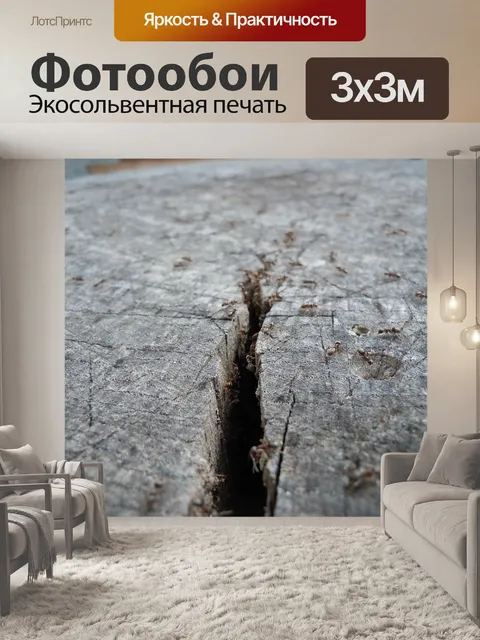 Фотообои Муравьи