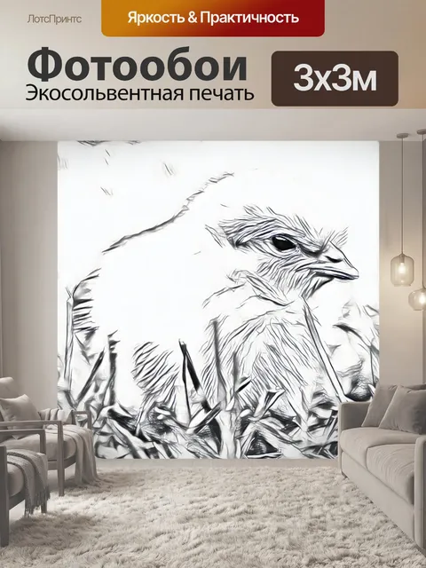 Фотообои эскиз цыпленка