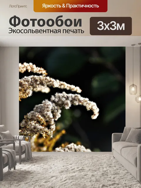 Фотообои Золотарник