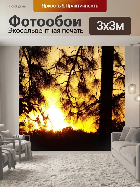 Фотообои Заход солнца