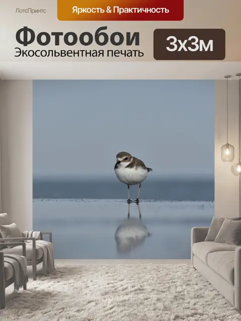 Фотообои Животное