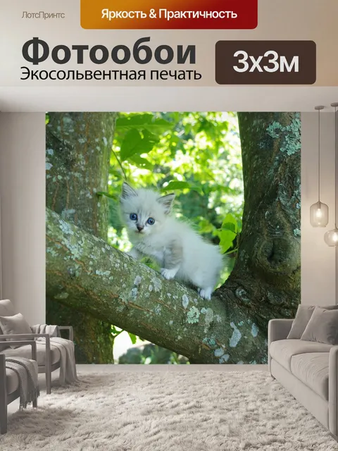 Фотообои Белая кошка