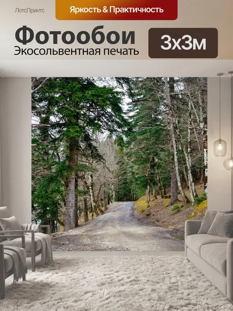 Фотообои Лес