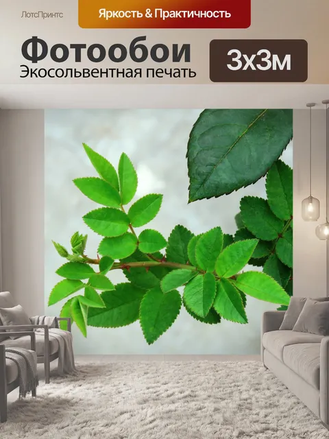 Фотообои Рост