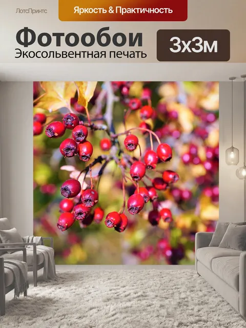 Фотообои Ягода