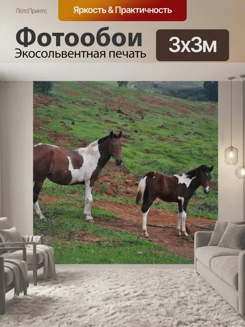 Фотообои Лошади