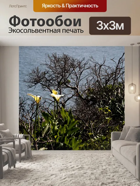 Фотообои Цветы на Ocean Cliffside