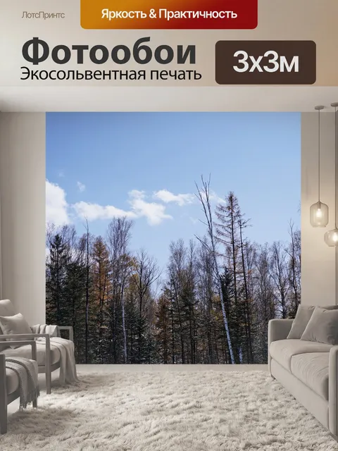 Фотообои Деревья