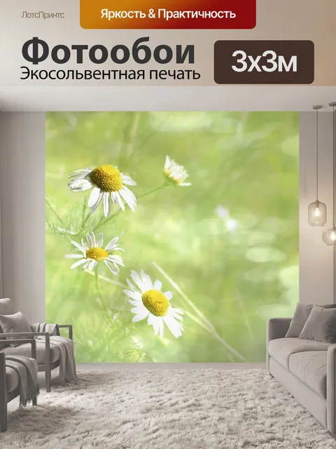 Фотообои Ромашка