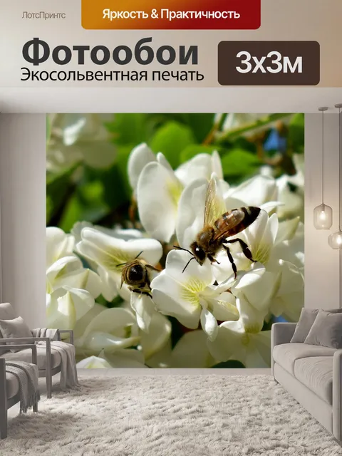 Фотообои Цветы