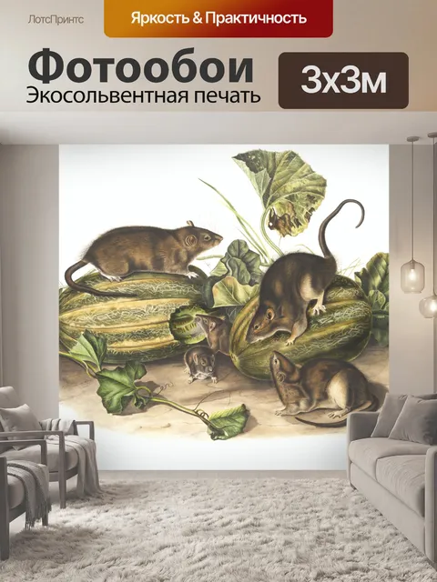 Фотообои Мышь крыса винтажное искусство