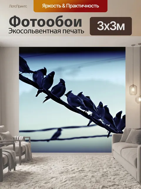 Фотообои Птицы