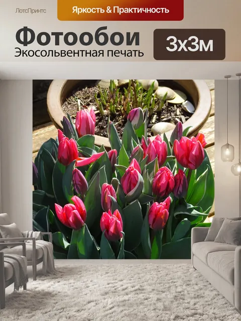 Фотообои Тюльпаны