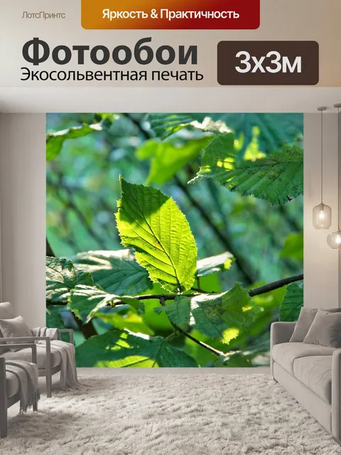 Фотообои Листья