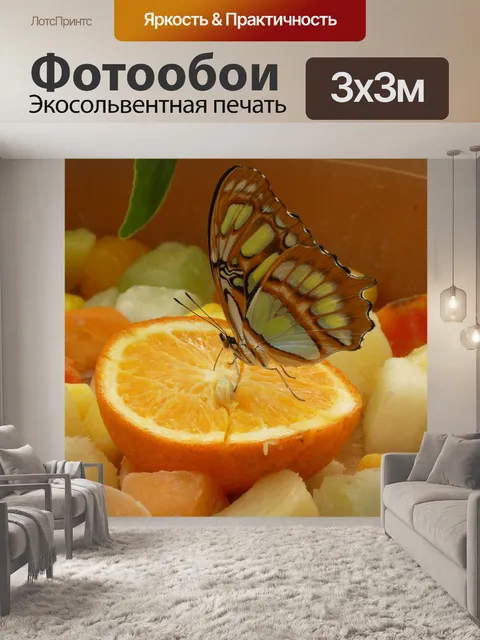 Фотообои Бабочка