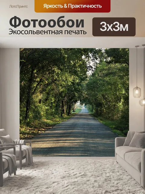 Фотообои Проселочная дорога с длинными деревьями