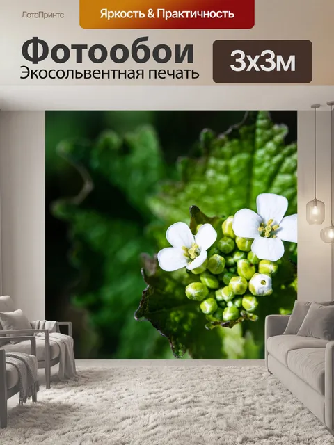 Фотообои Цветы