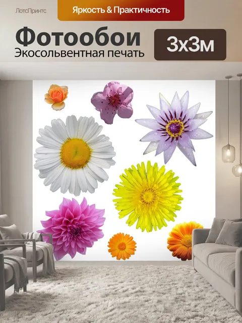 Фотообои Изолированные цветок Клипарт