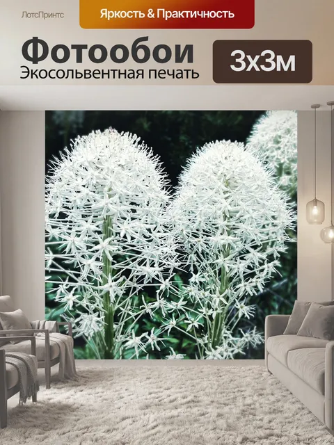 Фотообои Цветы