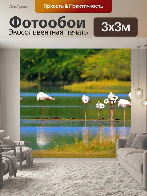 Фотообои Фламинго