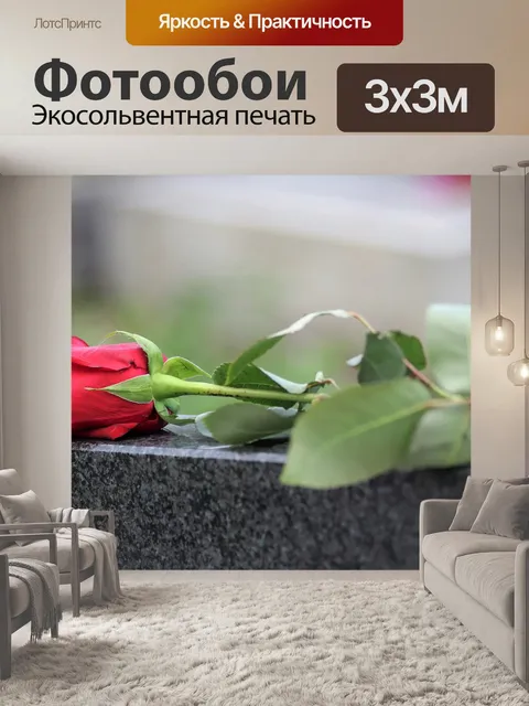 Фотообои Один красная роза