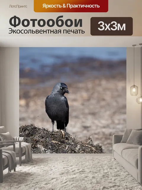 Фотообои Птица