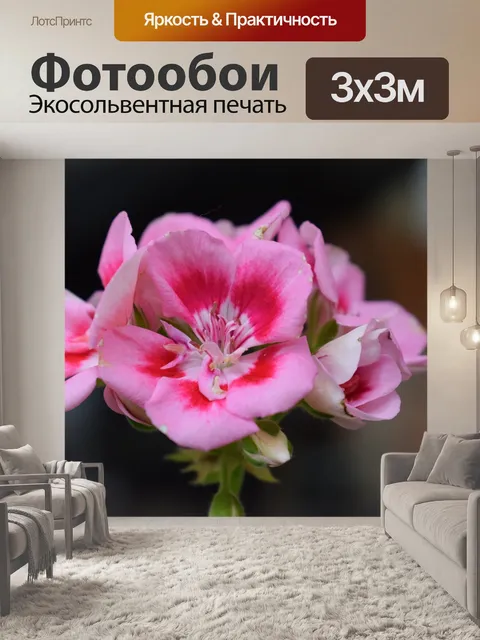 Фотообои Цветы