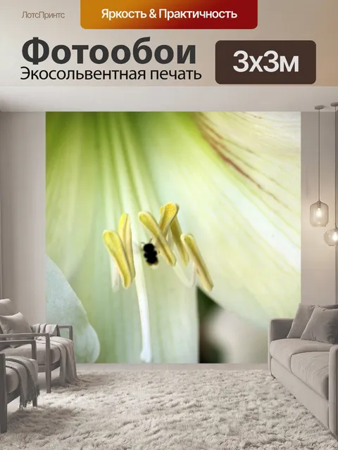 Фотообои макрос белый цветок