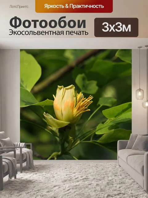 Фотообои Цветок