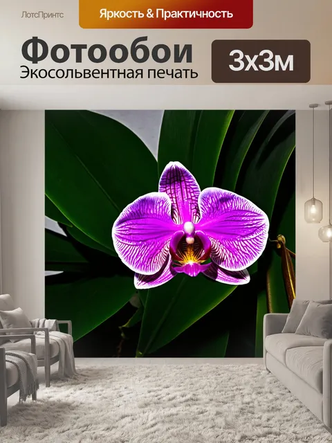 Фотообои орхидея, затененная под широкими листьями, создавая эффект таинственности