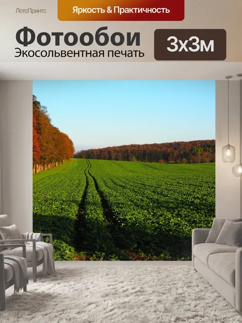 Фотообои Проспект