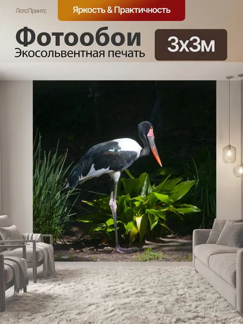 Фотообои аист