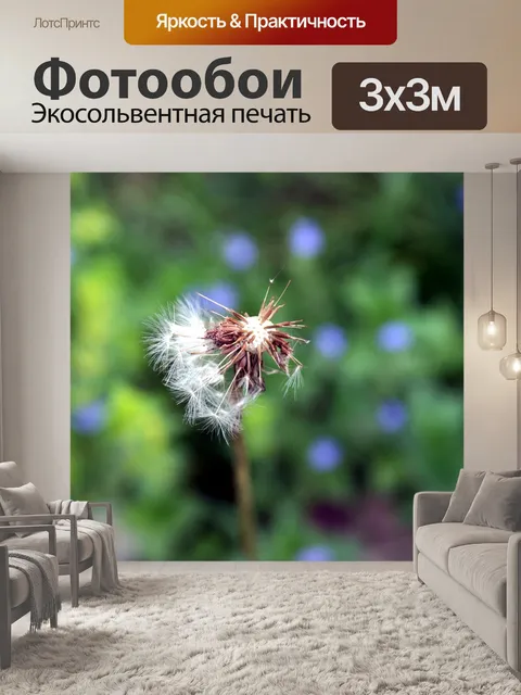 Фотообои Одуванчик