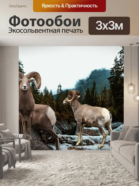 Фотообои Горы